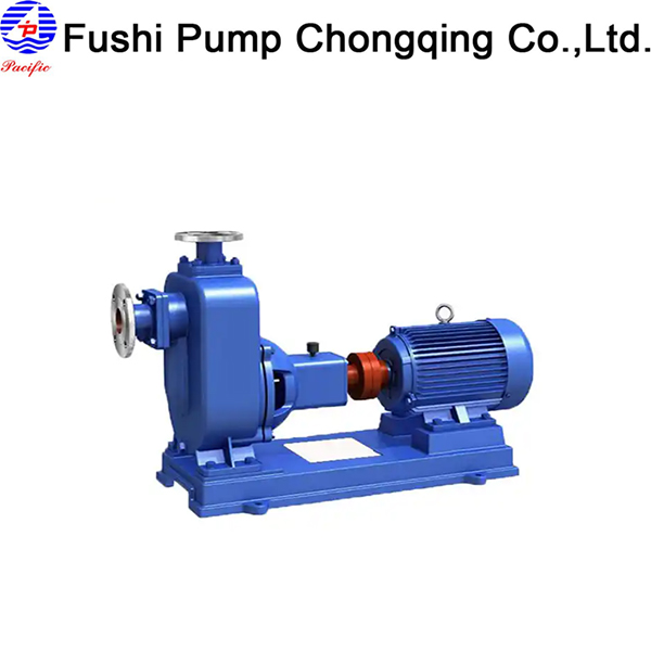 Cast Iron Centrifugal Pumps: In-Depth Analysis of Materials, Performance, and Market Landscape